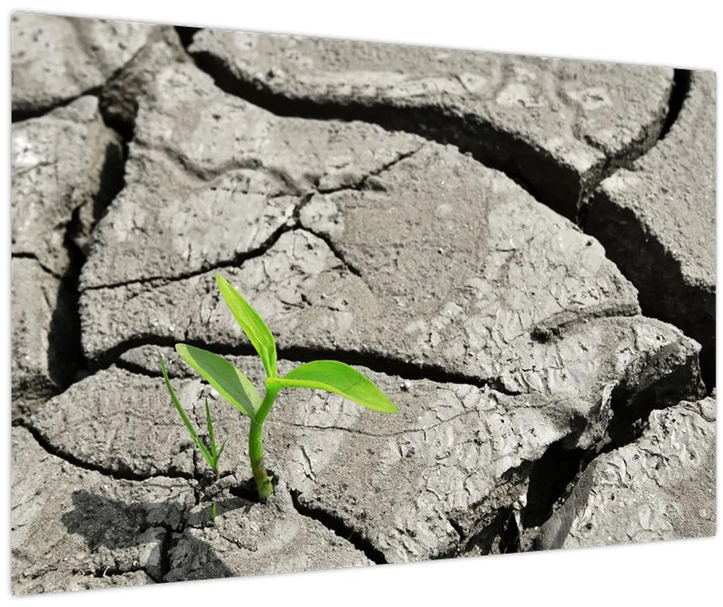 Tablou - Fisuri (90x60 cm)