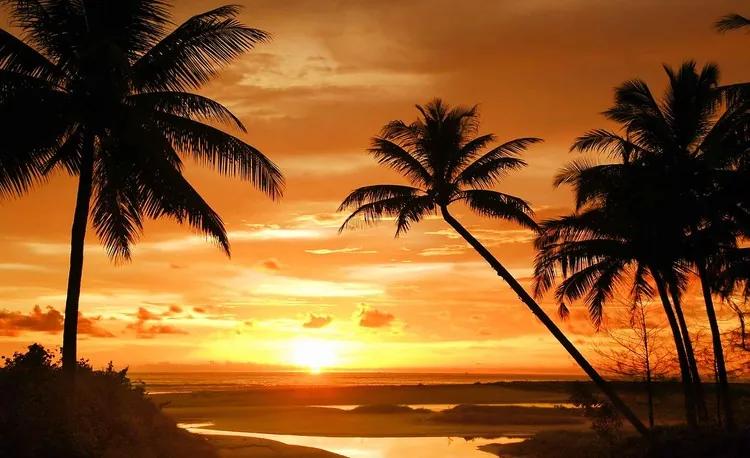 Beach Tropical Sunset Palms Fototapet, (152.5 x 104 cm)