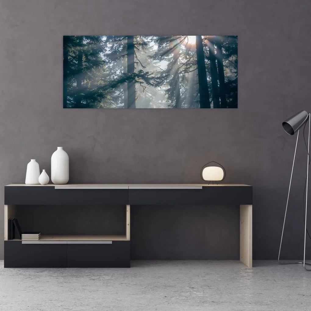 Tablou cu copaci și soarele translucind (120x50 cm)