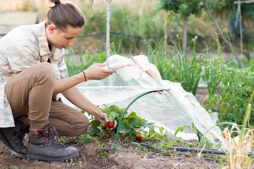 Solar mic de grădină 6 x 0,5 m