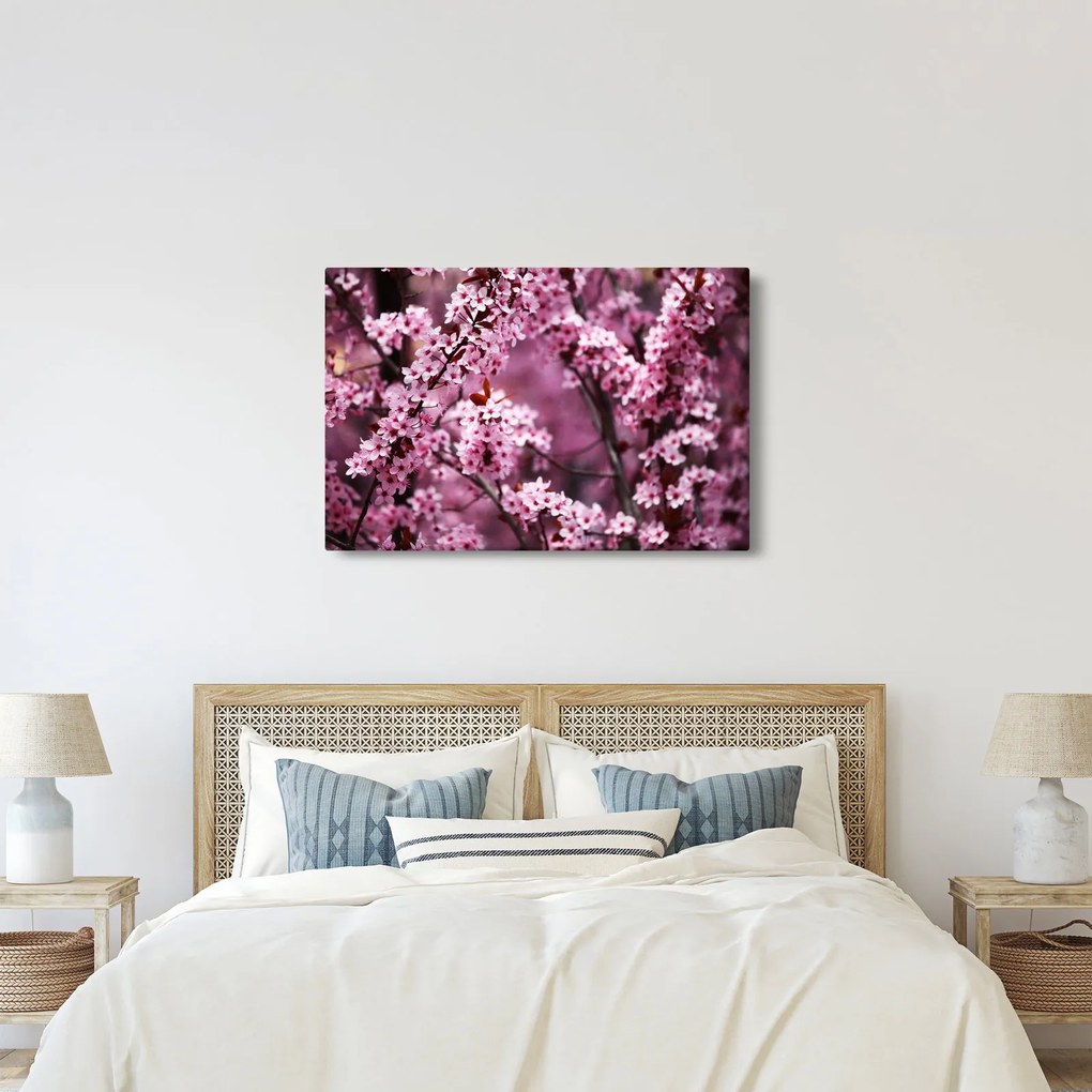 Tablou - Sakura roz (90x60 cm)
