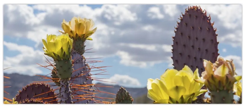 Tablou cu floarea de cactus Opunție (120x50 cm)