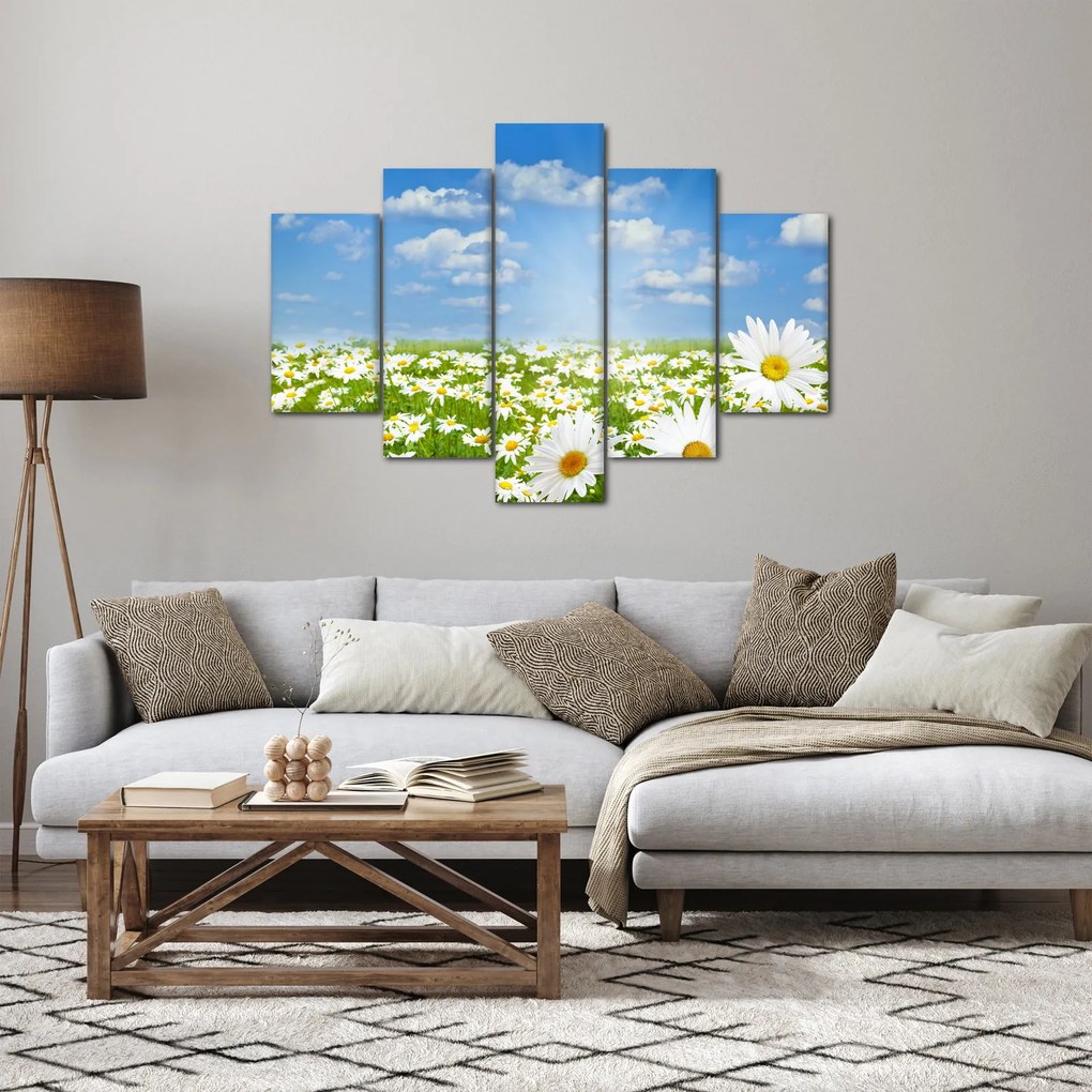 Tablou cu luncă înflorită cu margarete (150x105 cm)