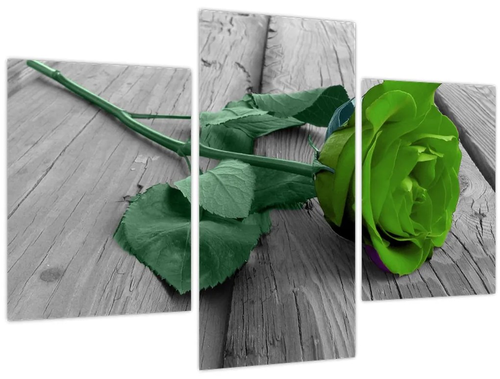Tablou - Trandafir verde (90x60 cm)