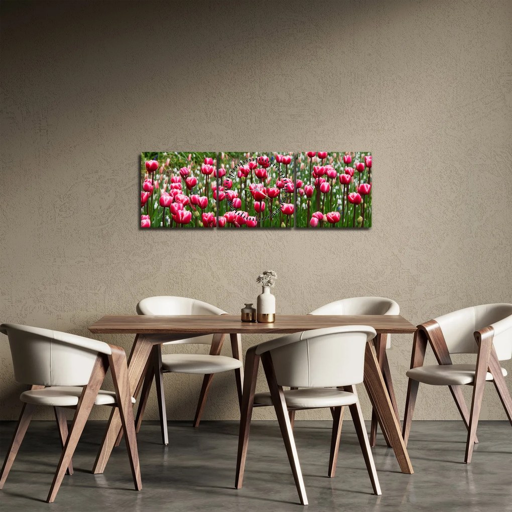 Tablou - Lalele (cu ceas) (90x30 cm)