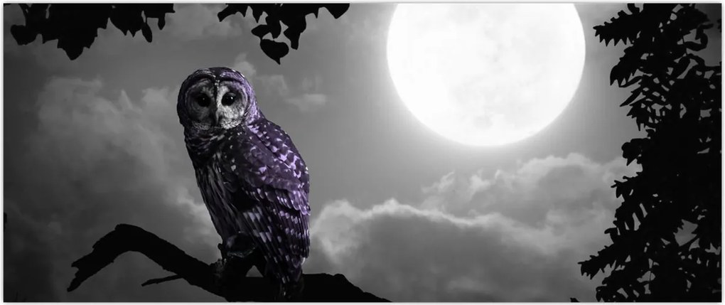 Tablou - Bufniță de noapte, bufniță mov (120x50 cm)