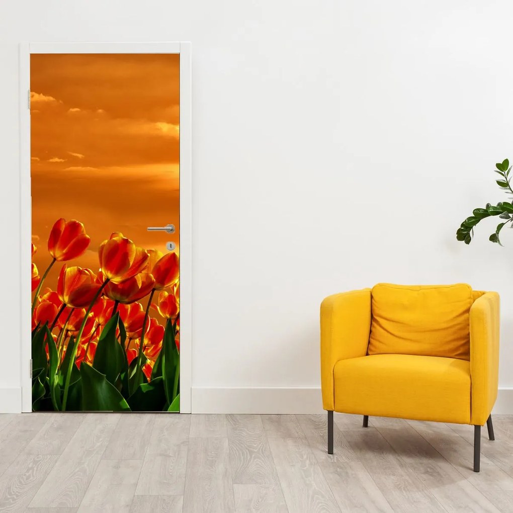Fototapet pentru ușă - Câmp înflorit cu lalele (95x205cm)