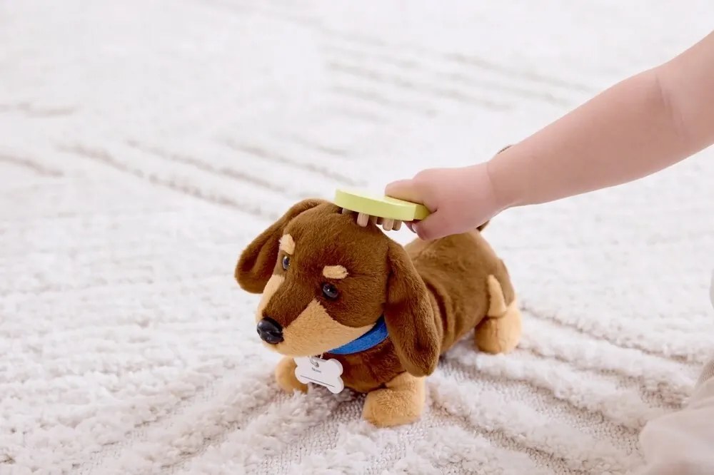 Set de veterinar - îngrijirea cățelușului Hape