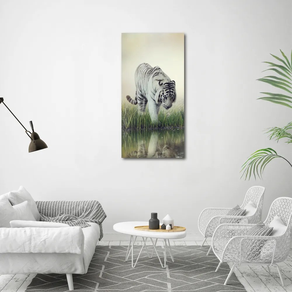 Print pe canvas Tigru alb