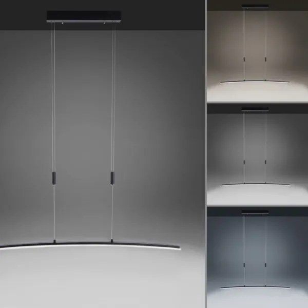 Lustră LED pe cablu dimabilă JANINA LED/27W/230V Paul Neuhaus 2530-13