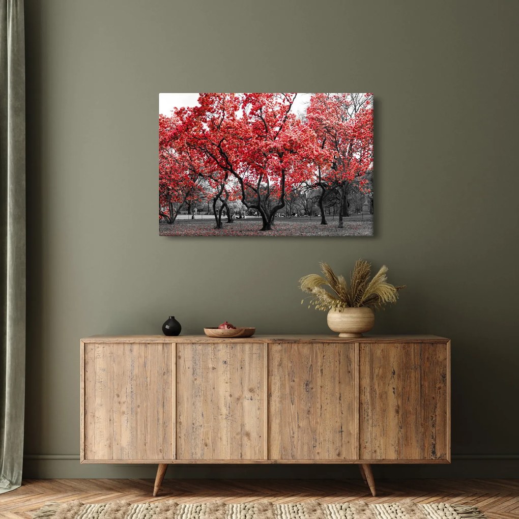Tablou - Copacii roșii, Central Park, New York (90x60 cm)