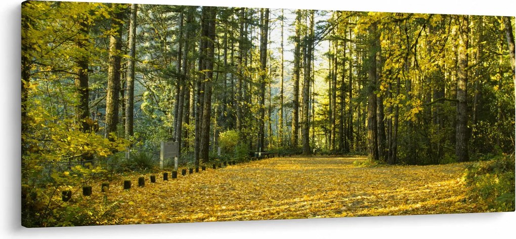 Tablou - pădurea toamna (120x50 cm)