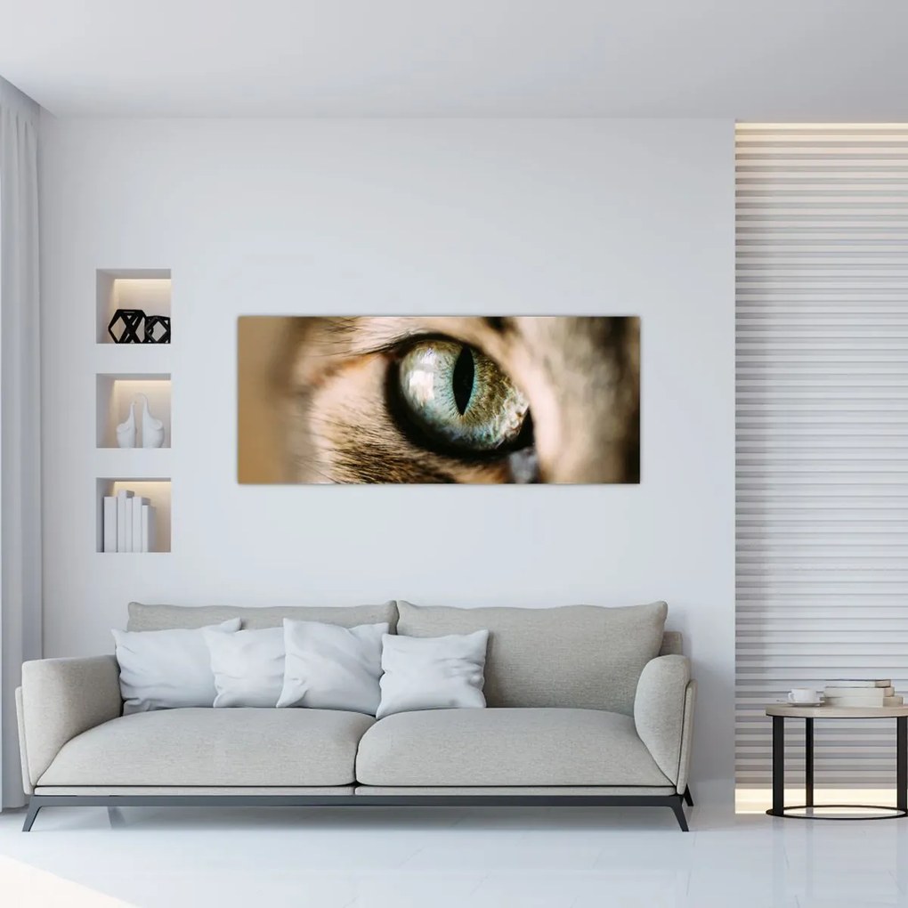 Tablou - Ochi de pisică (120x50 cm)