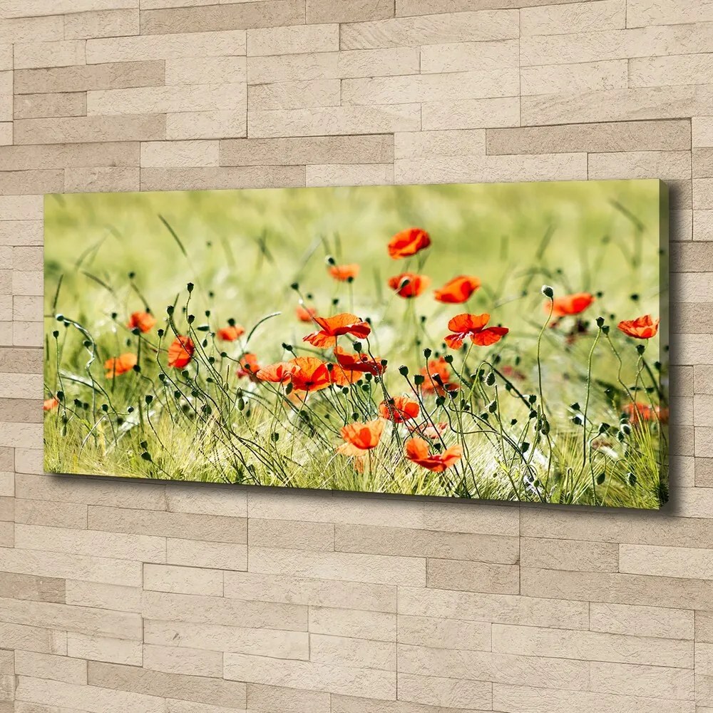 Imprimare tablou canvas Maki