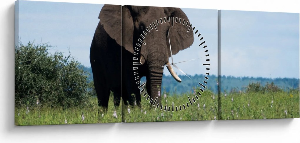 Tablou cu elefant (cu ceas) (90x30 cm)