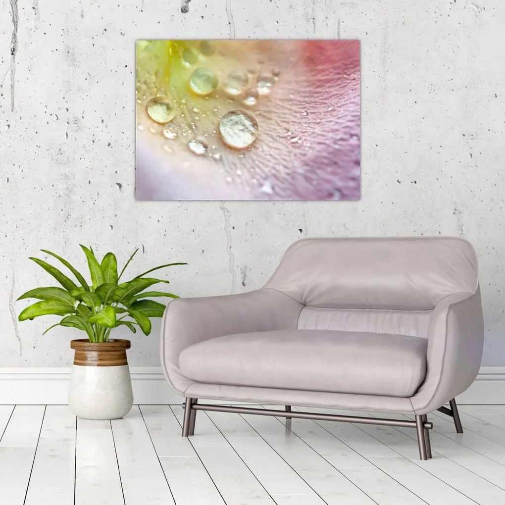 Tablou - Picături (70x50 cm)
