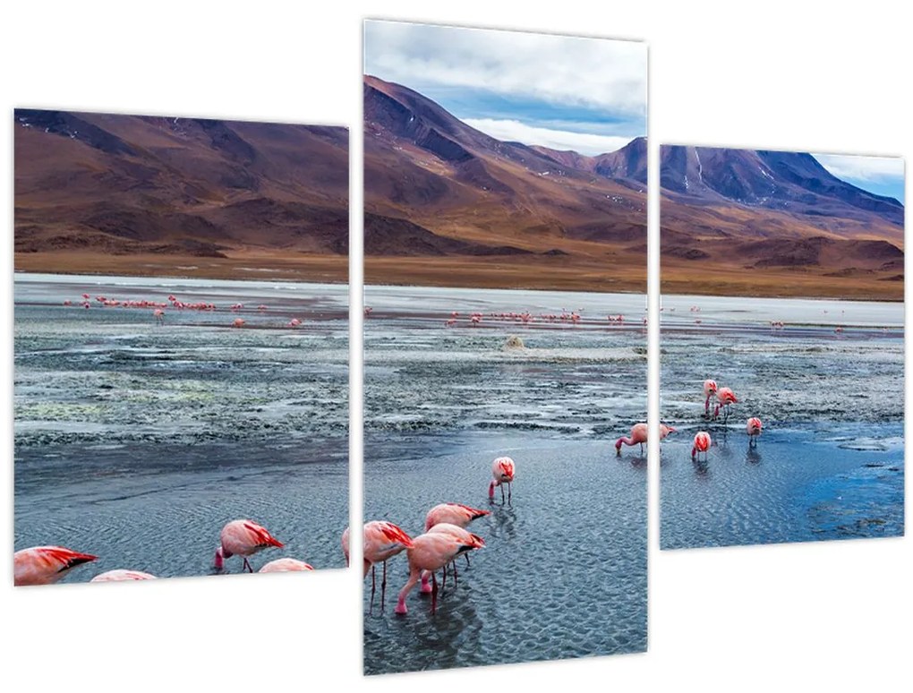 Tablou - Flamingo (90x60 cm)