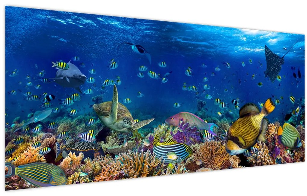 Tablou - Ocean (120x50 cm)