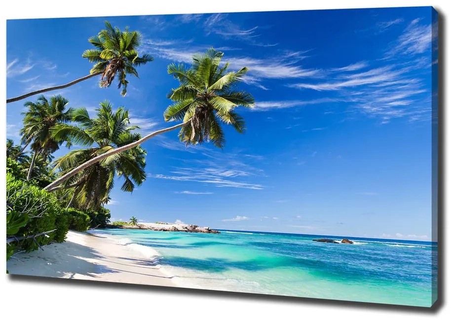 Tablou canvas Plaja tropicala