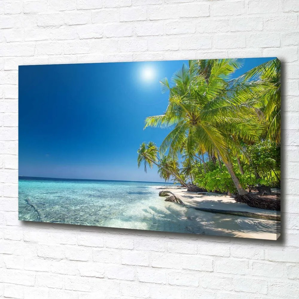 Tablou canvas Plaja maldive