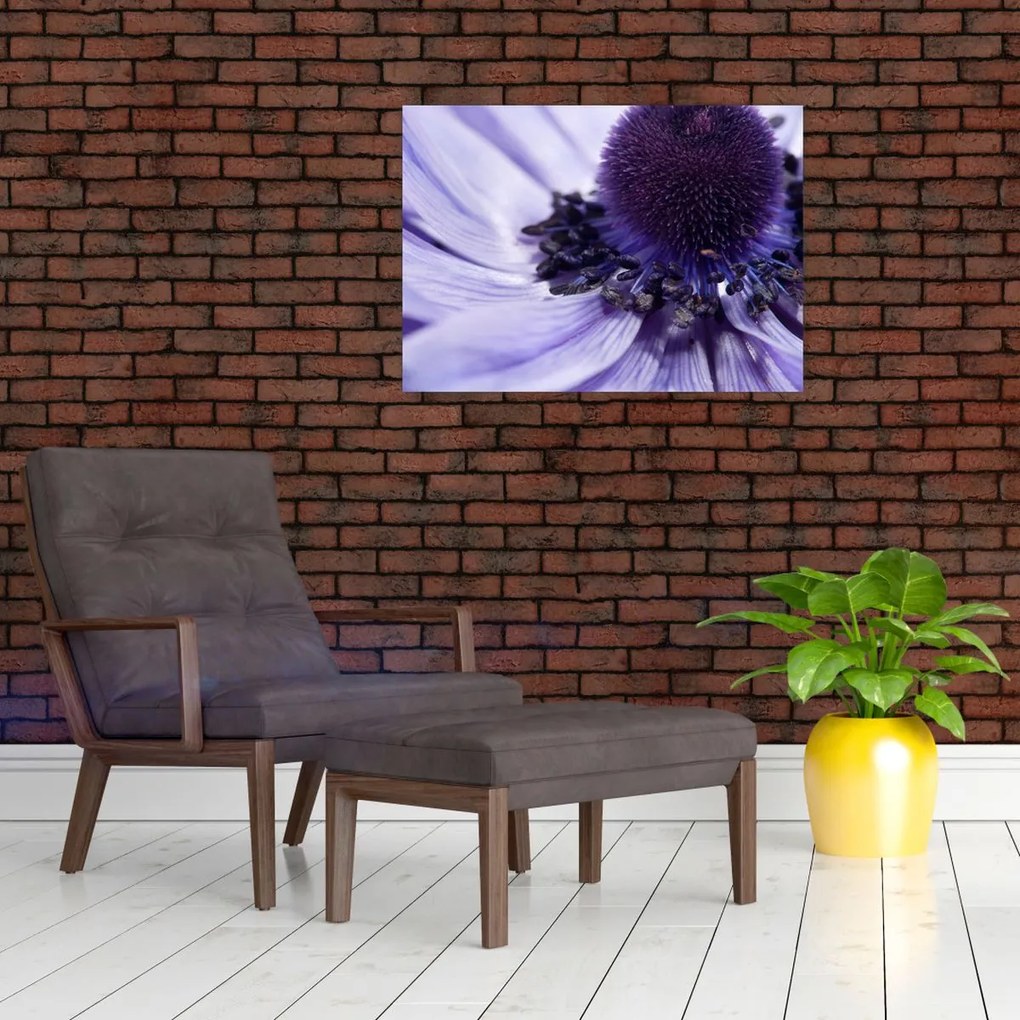 Tablou - Floare mov (70x50 cm)