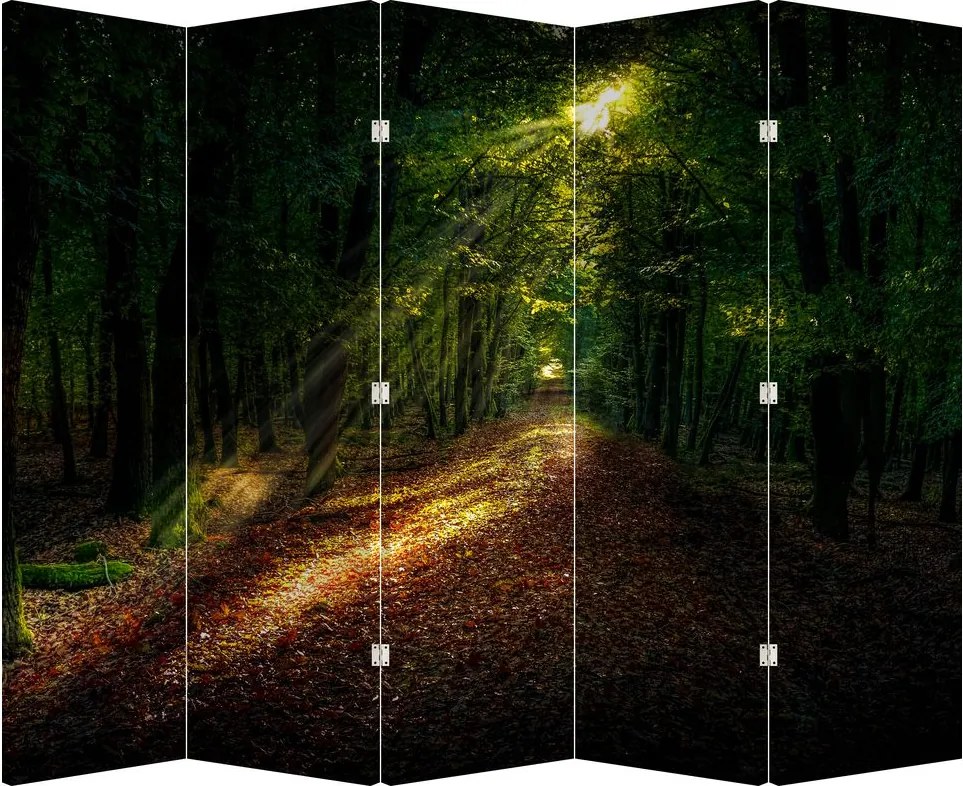 Paravan - Poteca prin pădure (210x170 cm)