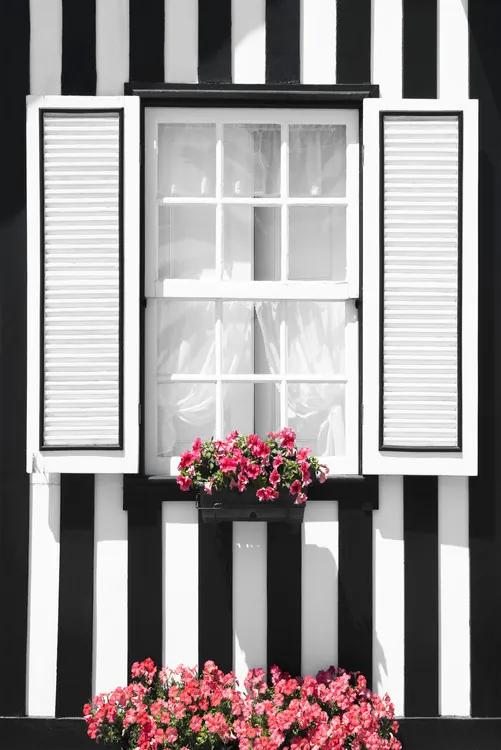 Fotografii artistice Black and White Striped Window, Philippe Hugonnard
