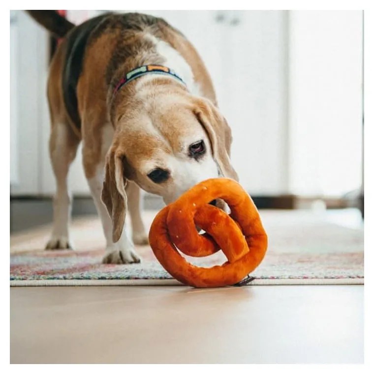 Jucărie pentru câine – P.L.A.Y.