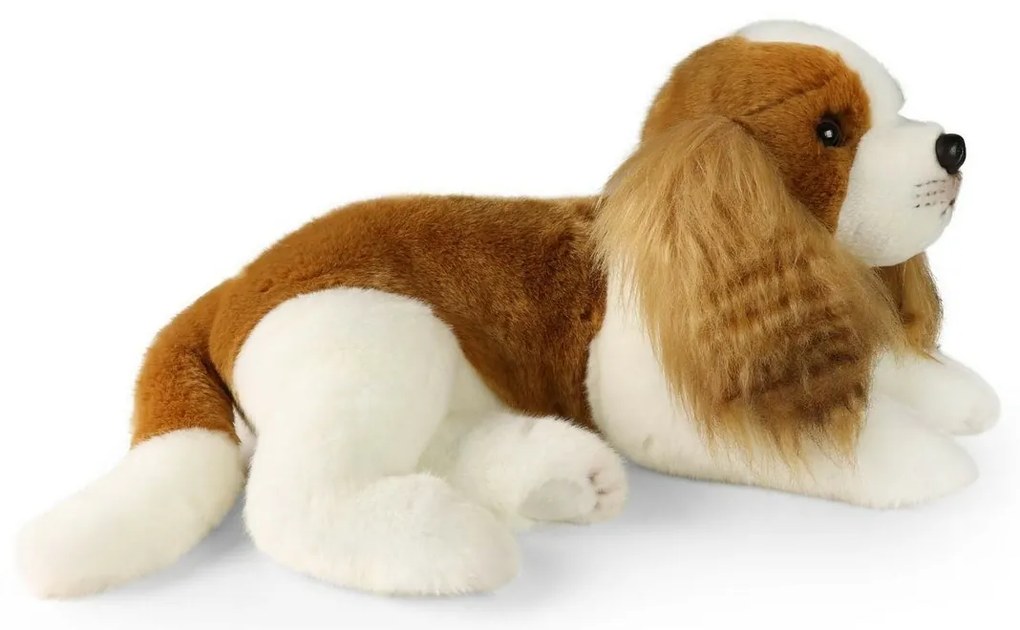Jucărie pluș Rappa Câine Cavalier King Charles Spaniel 40 cm ECO - FRIENDLY