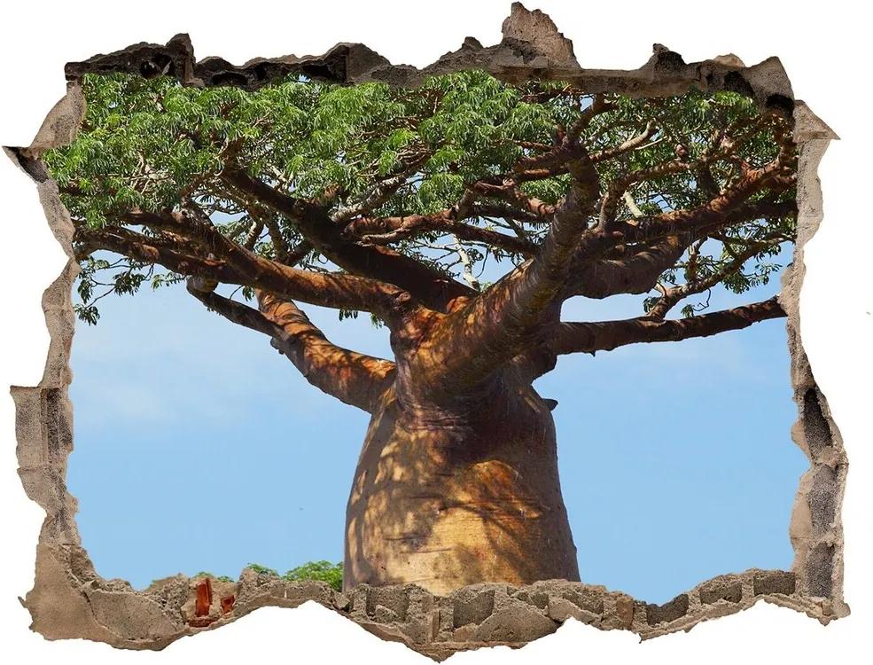 Autocolant gaură 3D Baobab