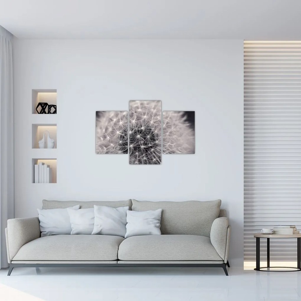 Tablou cu păpădie (90x60 cm)