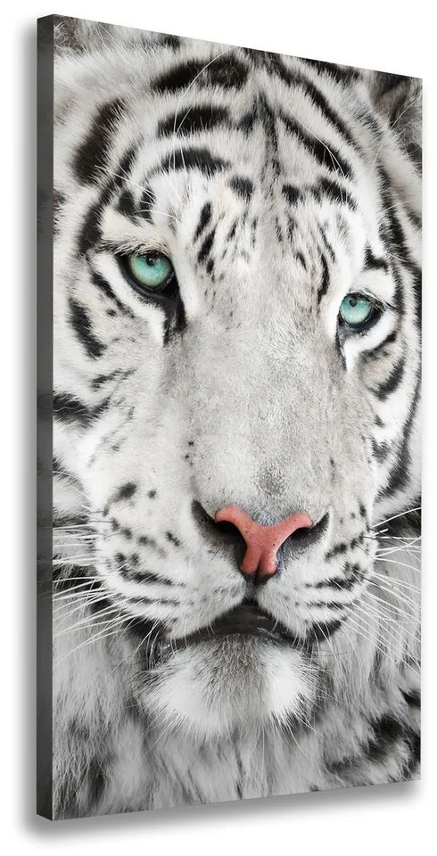 Tablouri tipărite pe pânză Tigru alb