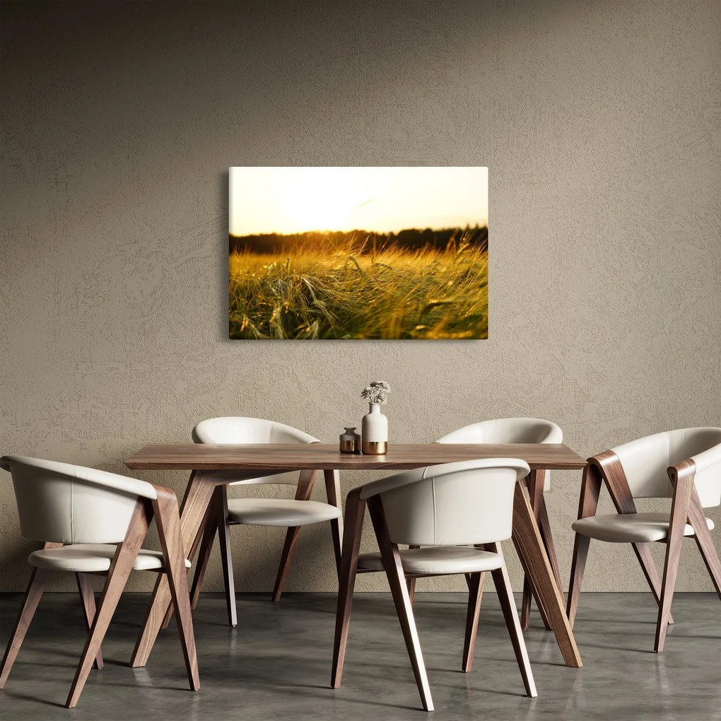 Tablou iarba cu rouă (90x60 cm)