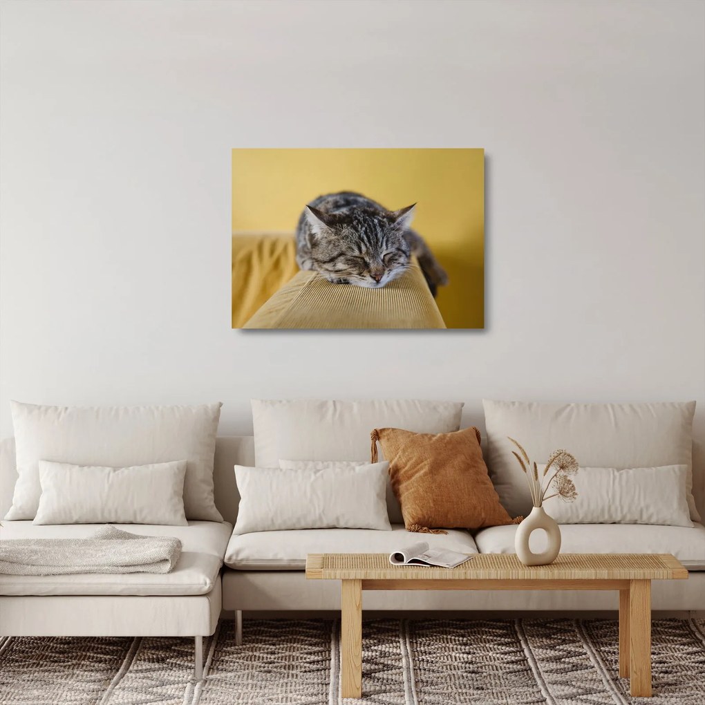 Tablou pe sticlă cu pisica pe fotoliu (70x50 cm)