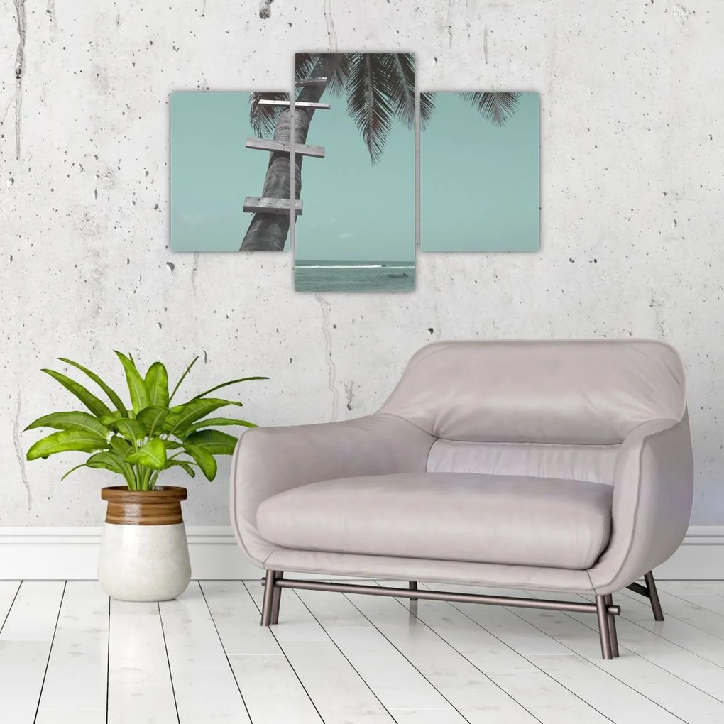 Tablou - Palma în Caraibe (90x60 cm)