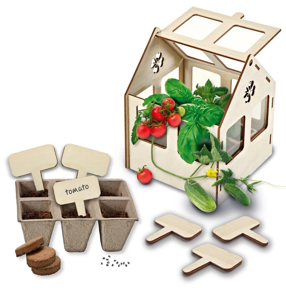 Set creativ - Sera de legume