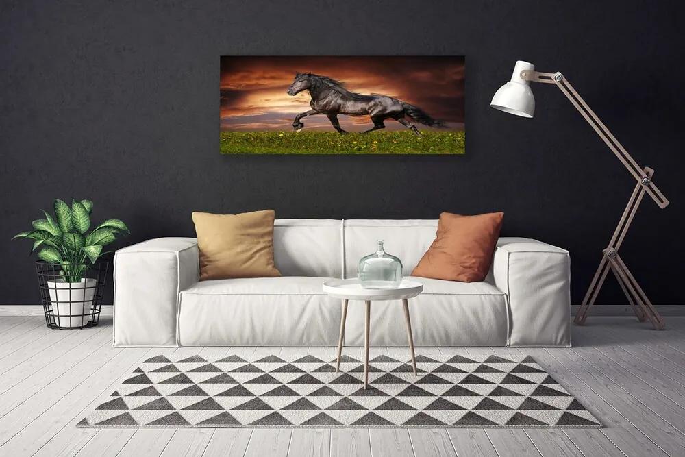 Tablou pe panza canvas Black Horse Meadow Animale Negru Verde Roșu