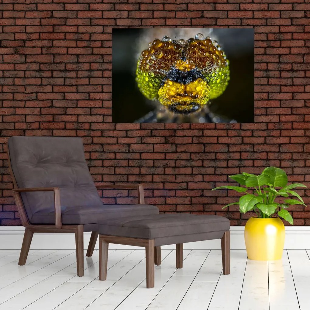 Tablou detailat cu ochii de omidă (90x60 cm)