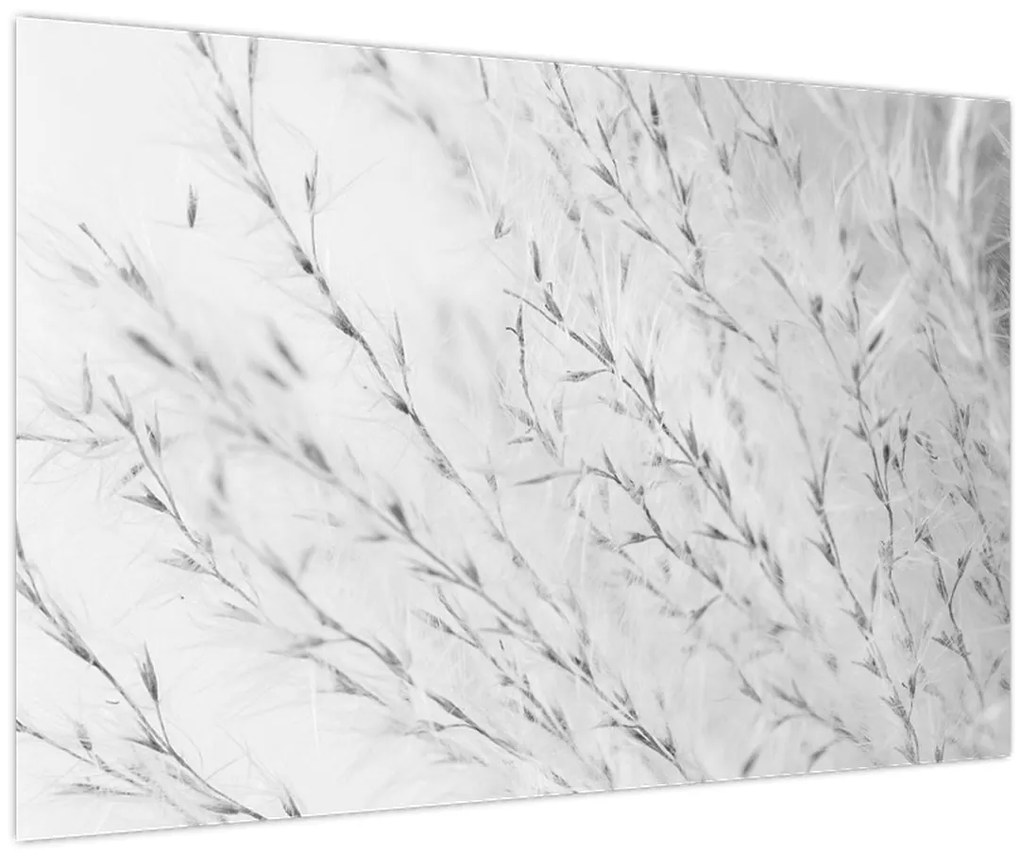 Tablou - Iarbă de pampas N⁰2 (90x60 cm)