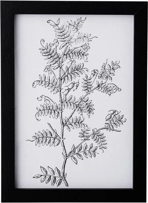 Tablou alb/negru din MDF 16x23 cm Ivy Bloomingville