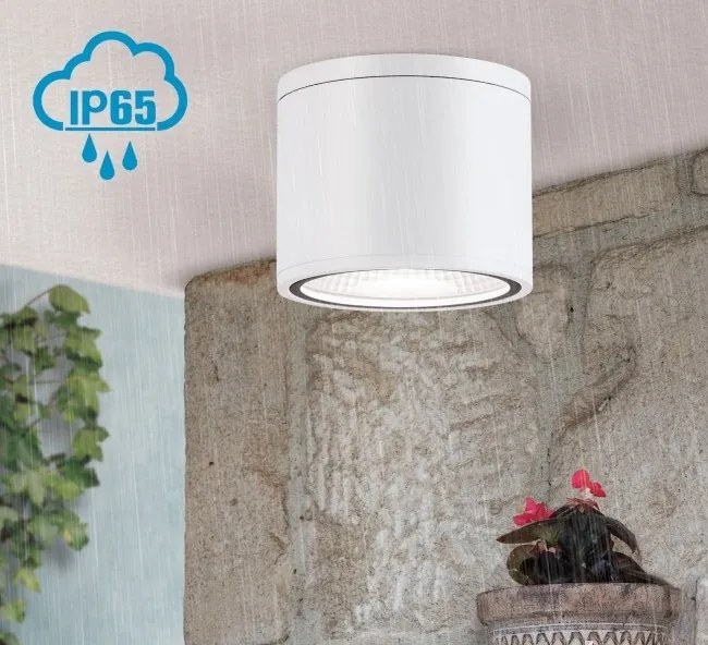 Spot LED aplicat cu protectie la umiditate IP65, SPUTNIK 14,5cm, alb
