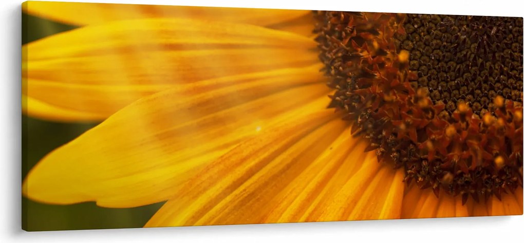 Tablou - Floarea-soarelui (120x50 cm)