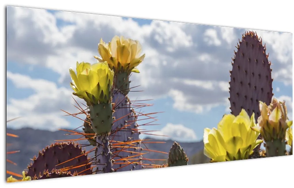 Tablou cu floarea de cactus Opunție (120x50 cm)