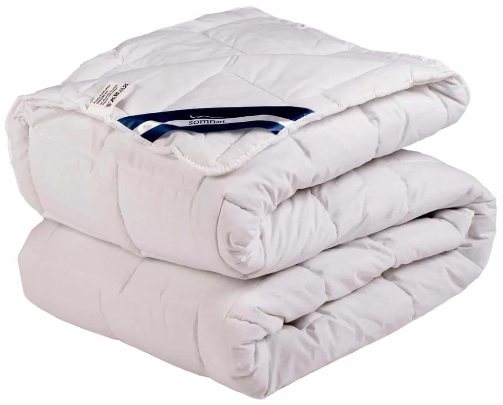 Pilota Viseo 200x220