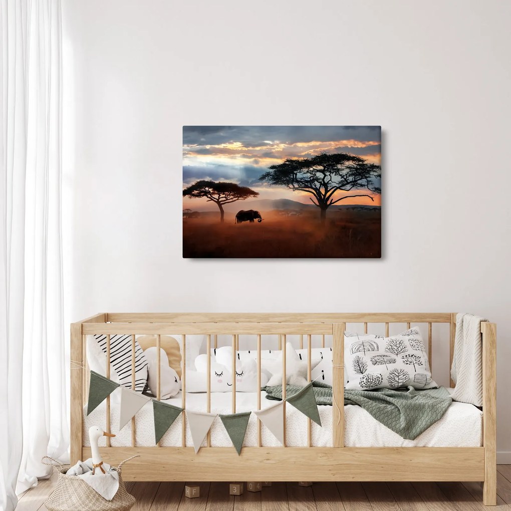 Tablou - Parcul Național Serengeti, Tanzania, Africa (90x60 cm)