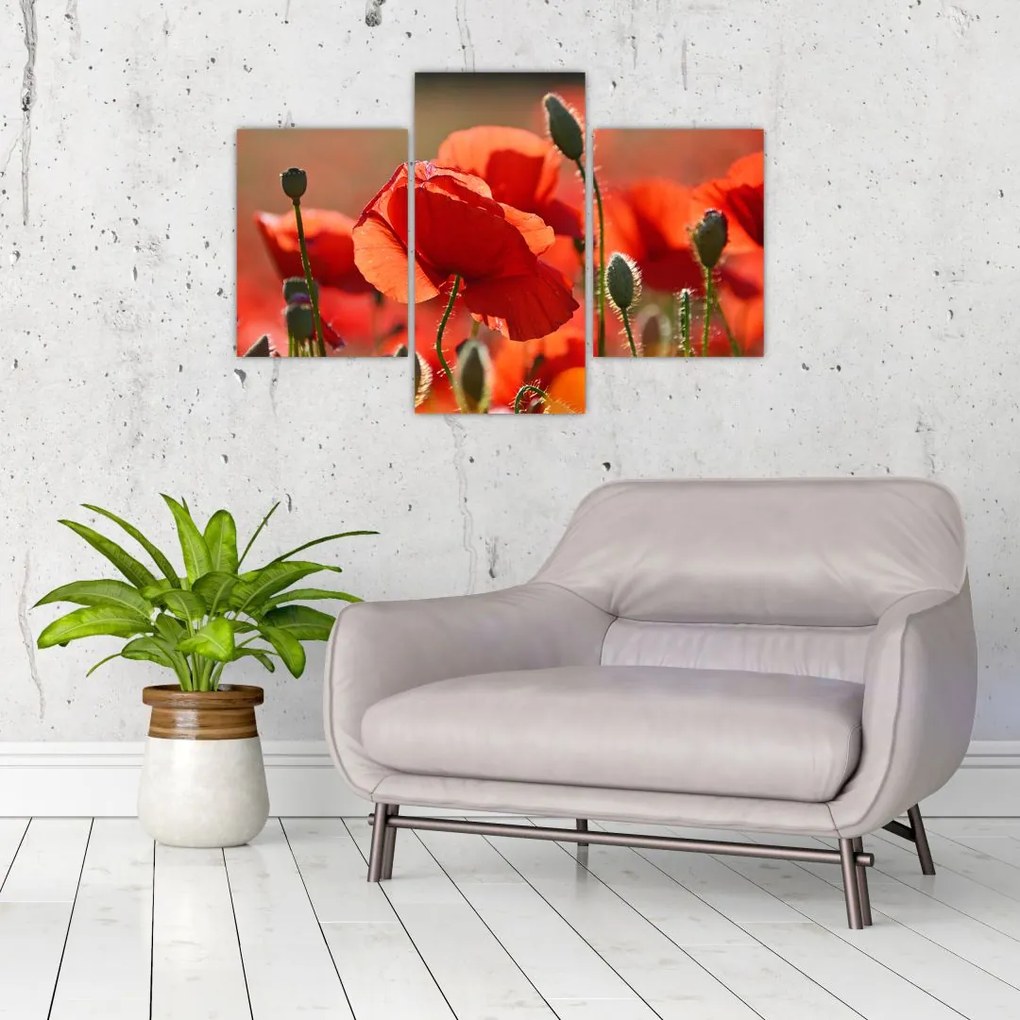 Tablou cu flori de maci (90x60 cm)