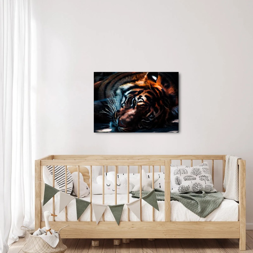 Tablou cu tigrul dormind (70x50 cm)