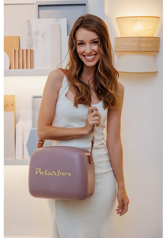 Cutie termoizolantă maro 6 l Classic Gold – Polarbox