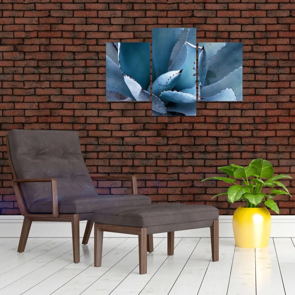 Tablou - Agave (90x60 cm)