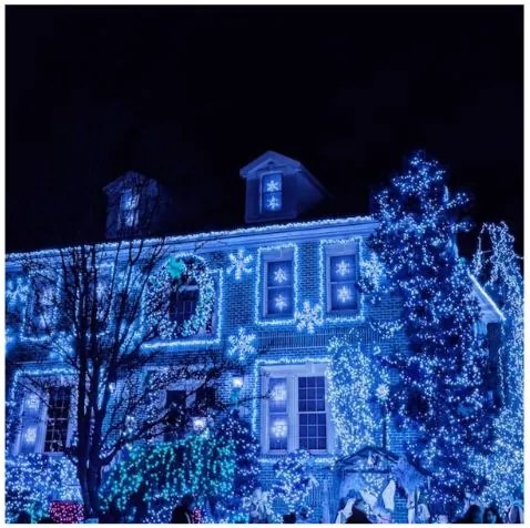 Instalație luminoasă de Crăciun 18m 300 LED Albastru